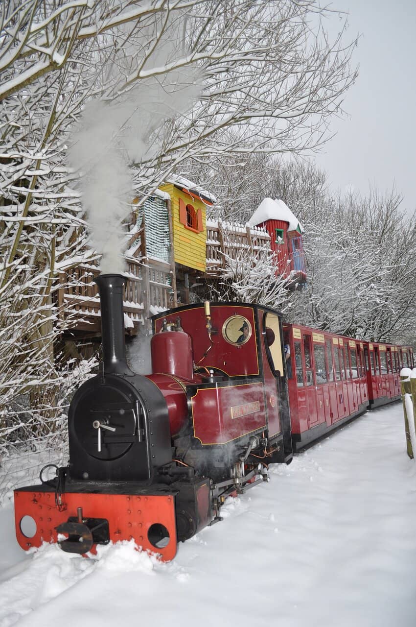 Treetop Adventure Play
