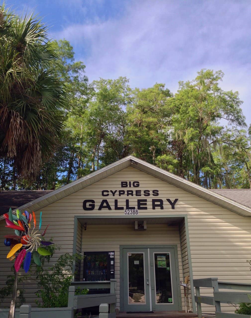 Big Cypress Swamp Walk