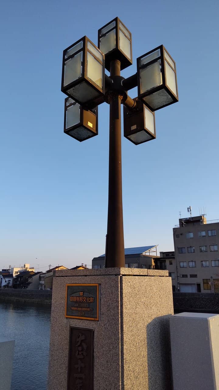 Riverside Sakura Blooms