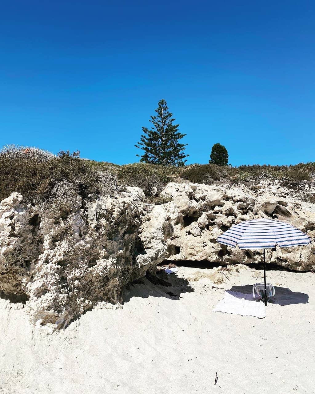 Monelli Cafe Experience