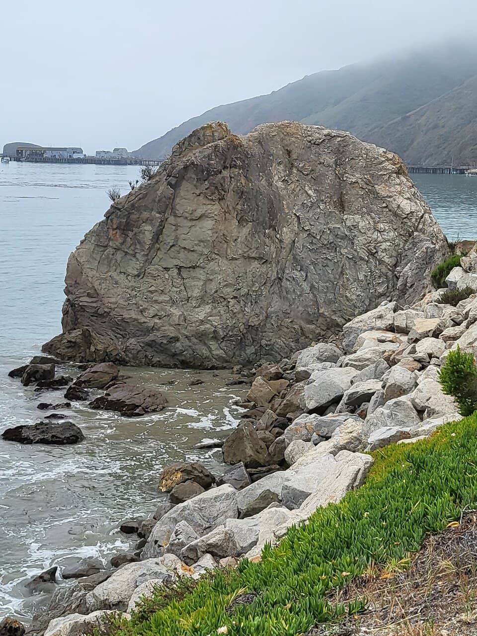 Harbor Views & Boating