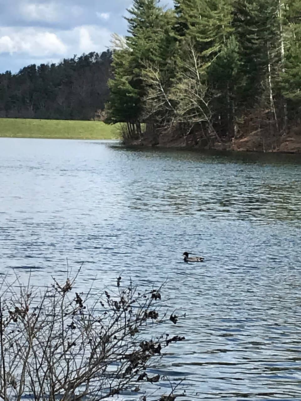 SkyPark at Santa's Village