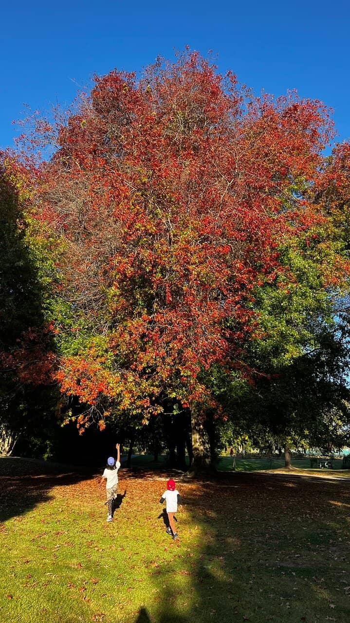 The Playful Playground