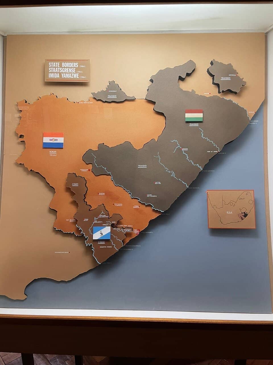 Cape Parrot & Sealife