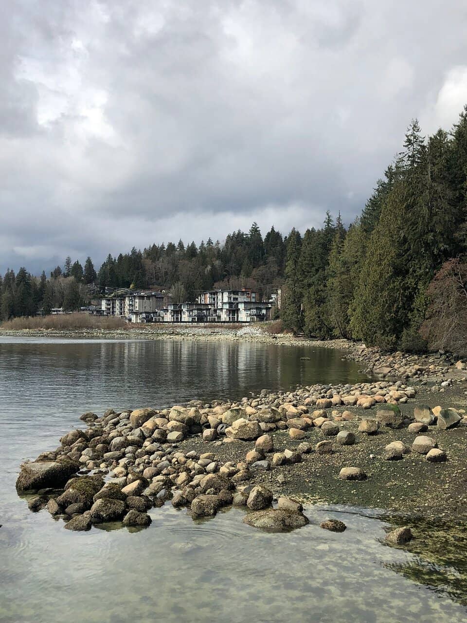 Family-Friendly Amenities