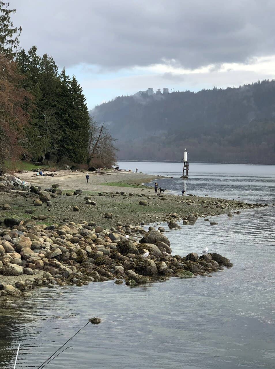 Kayaking and Paddleboarding Launch