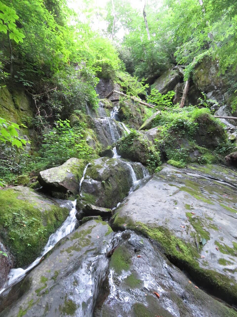 The Cascading 'Thousand Drips'