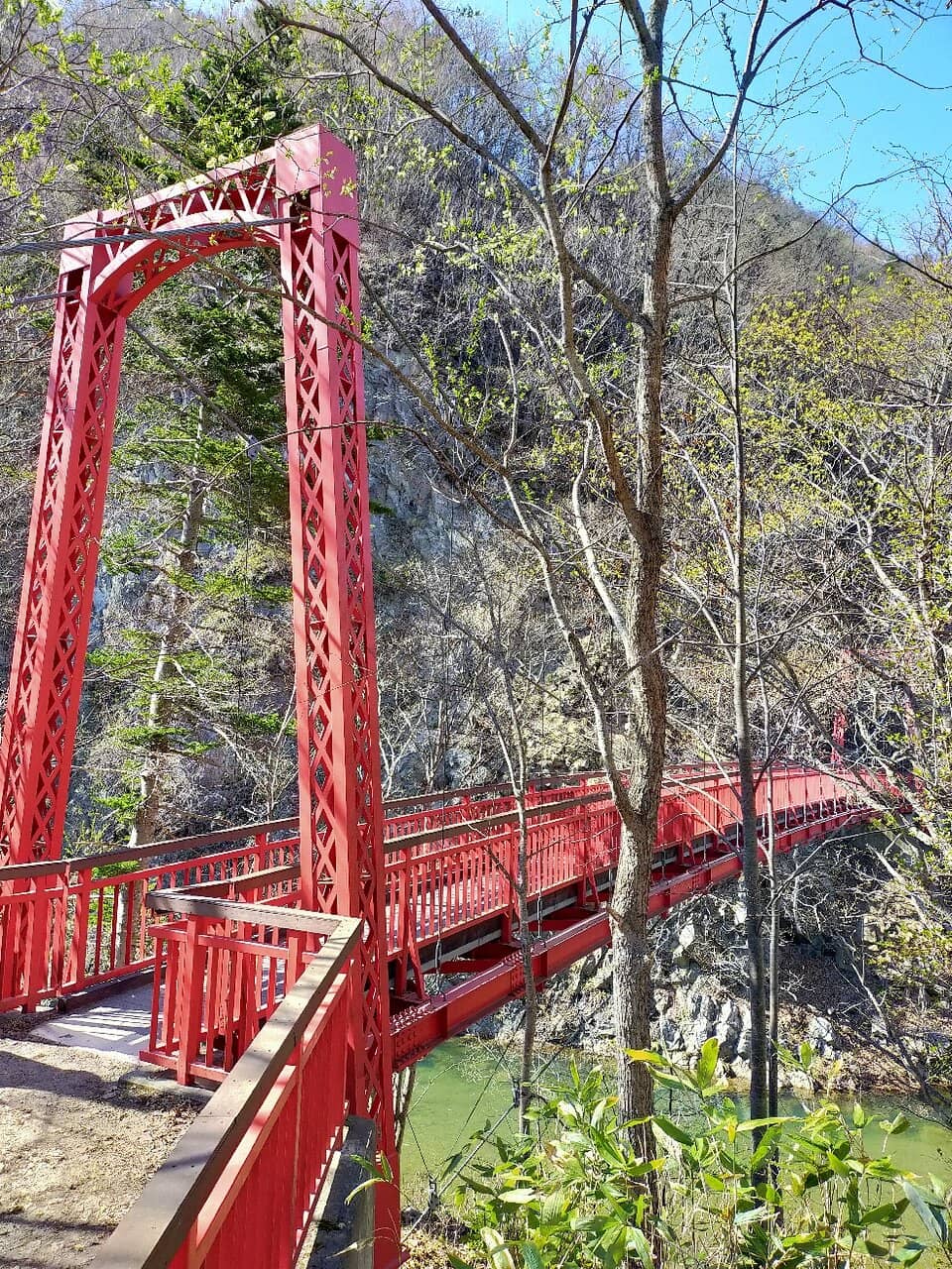 Seasonal Decorations