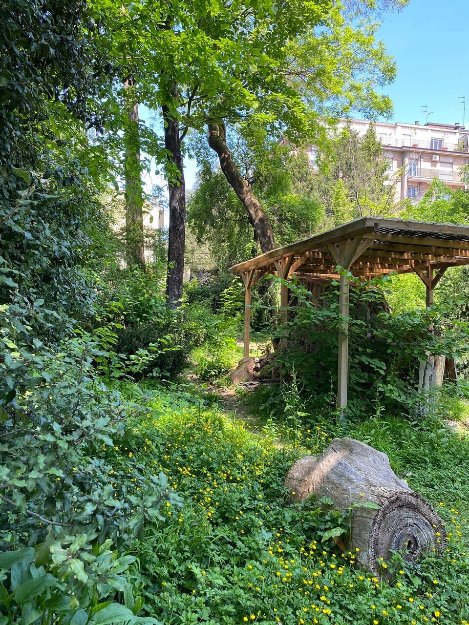 Wild and Overgrown Gardens