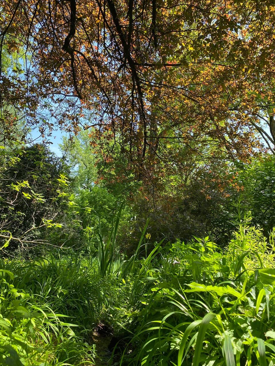 Natural History Museum