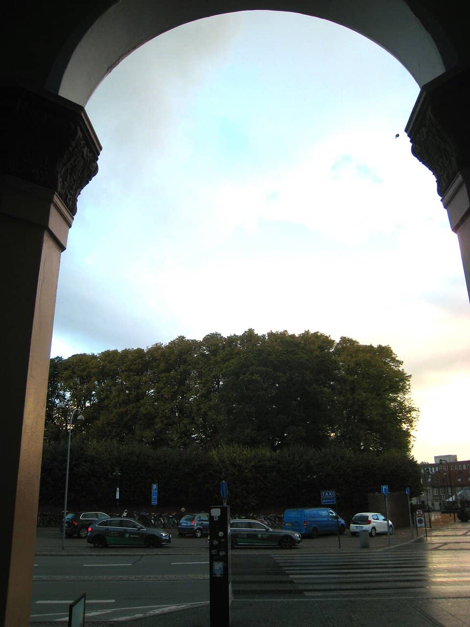 Human Library Experience