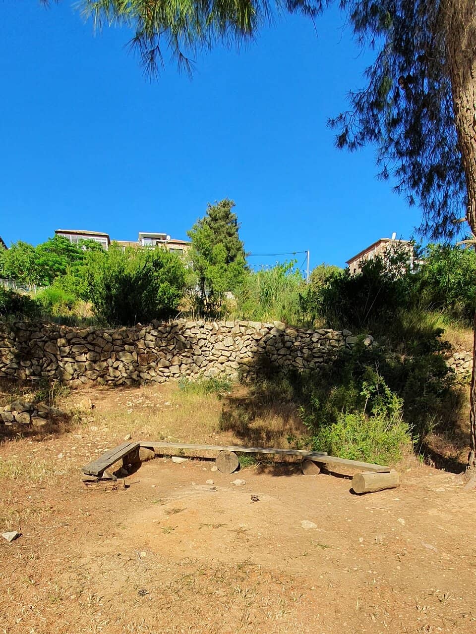 Birdwatching Opportunities