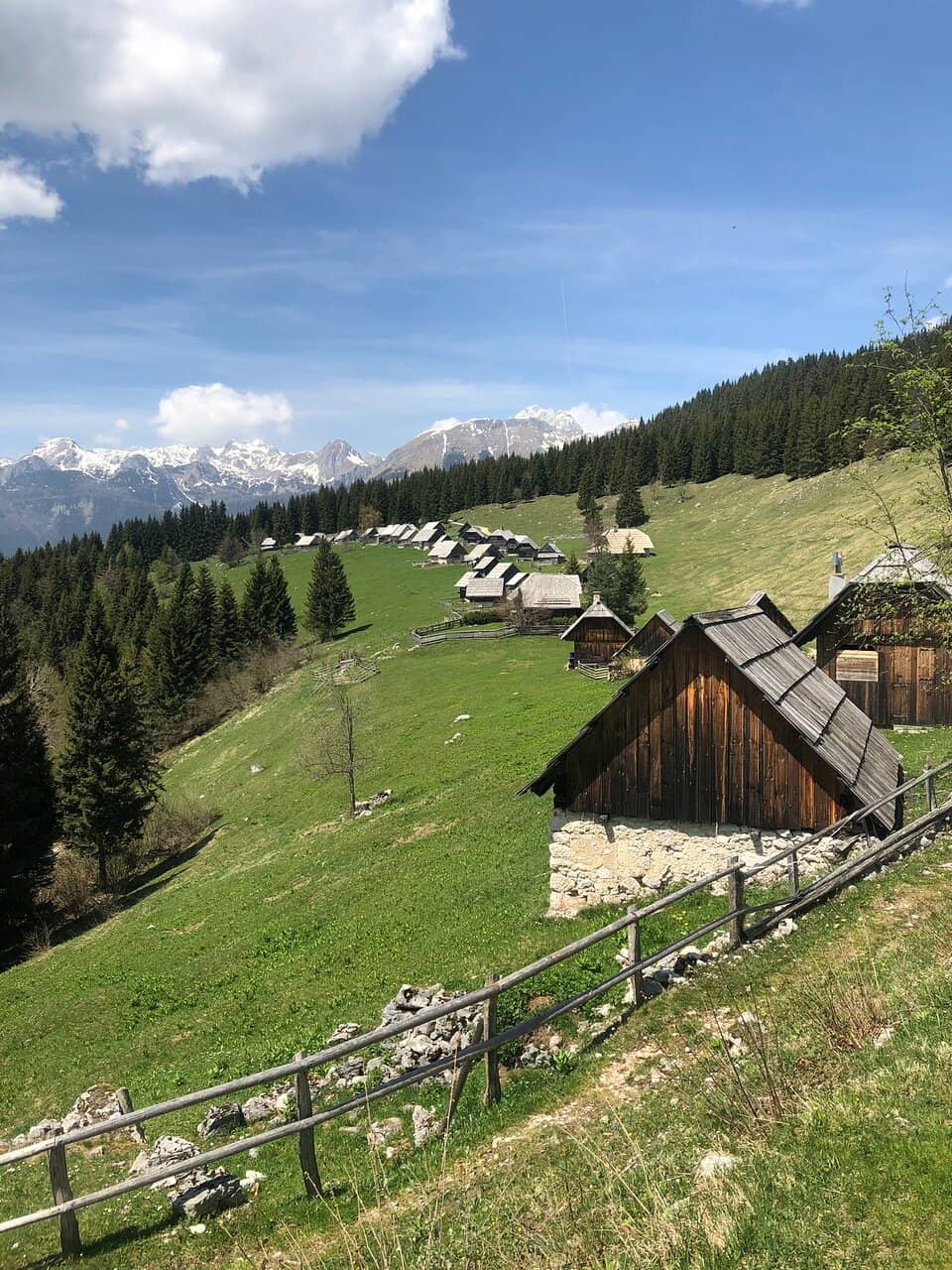 Authentic Local Produce