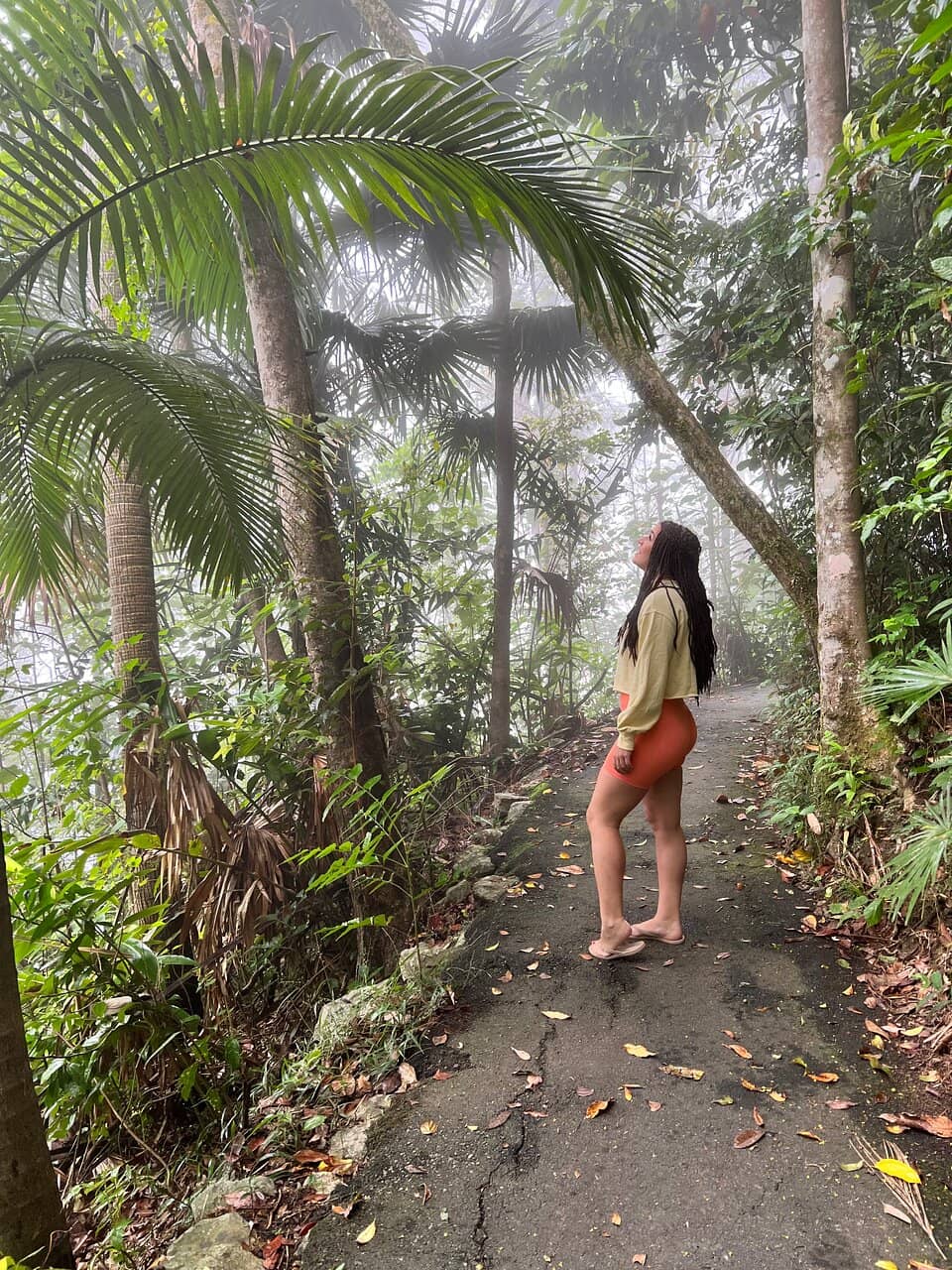 Sky Window Lookout Eungella (2026) – Best of TikTok, Instagram & Reddit ...