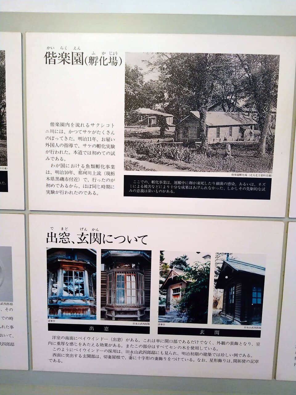 Peaceful Garden Views