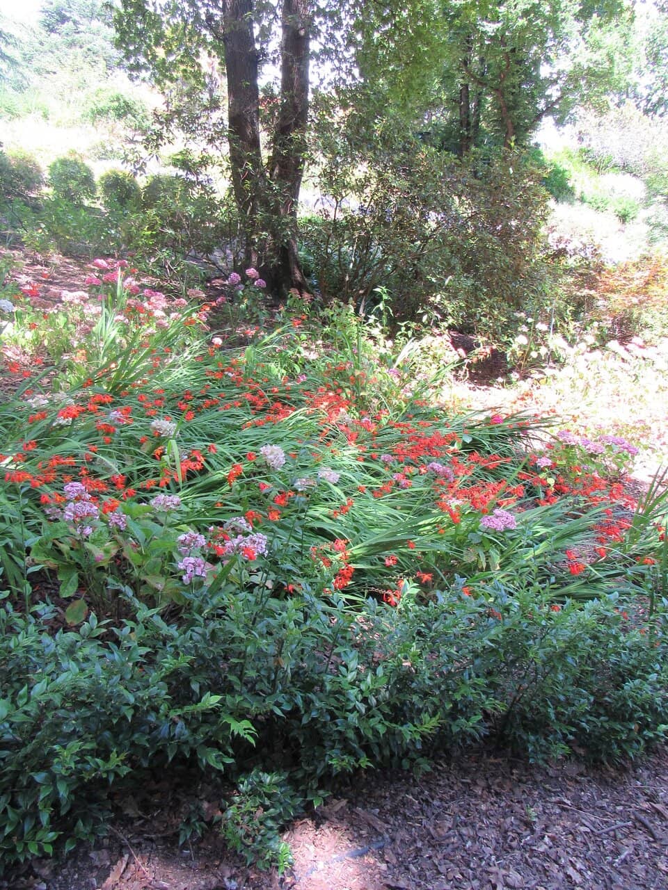 The Enchanting Aviary