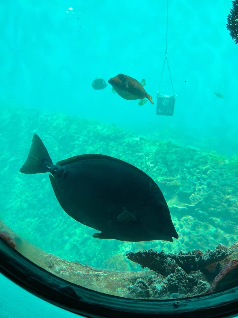 Architectural Marvel