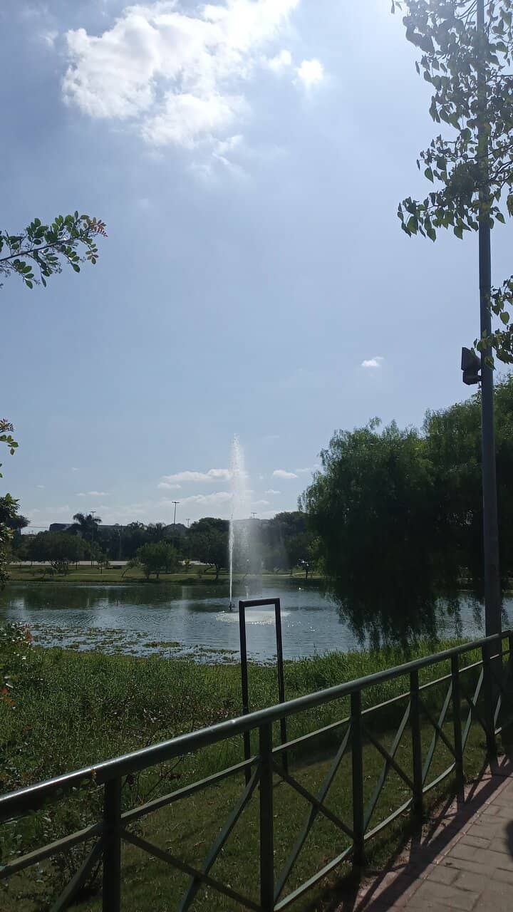 Family Entertainment