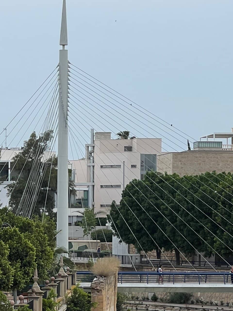 Calatrava's Signature Design