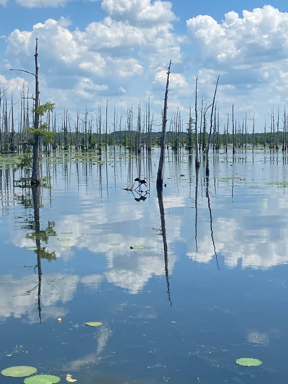 Canoe Trail Adventure