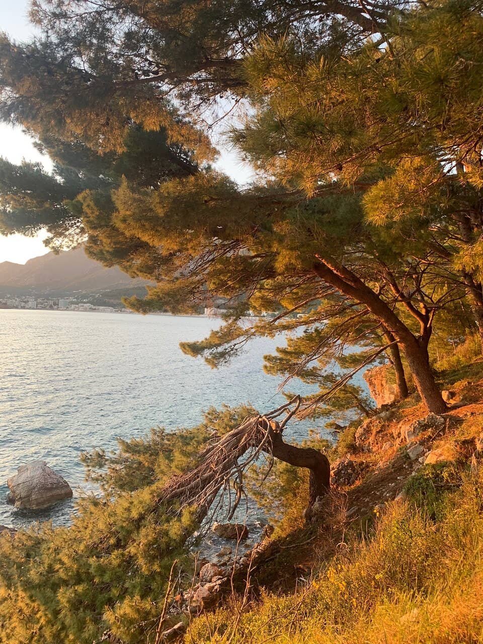 Olive Oil Press Ruins