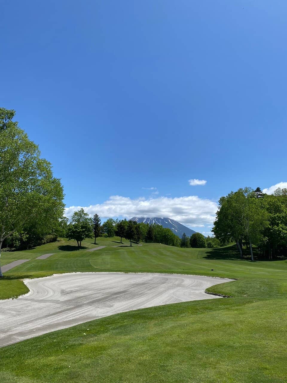 Innovative Golf Cart Shelves