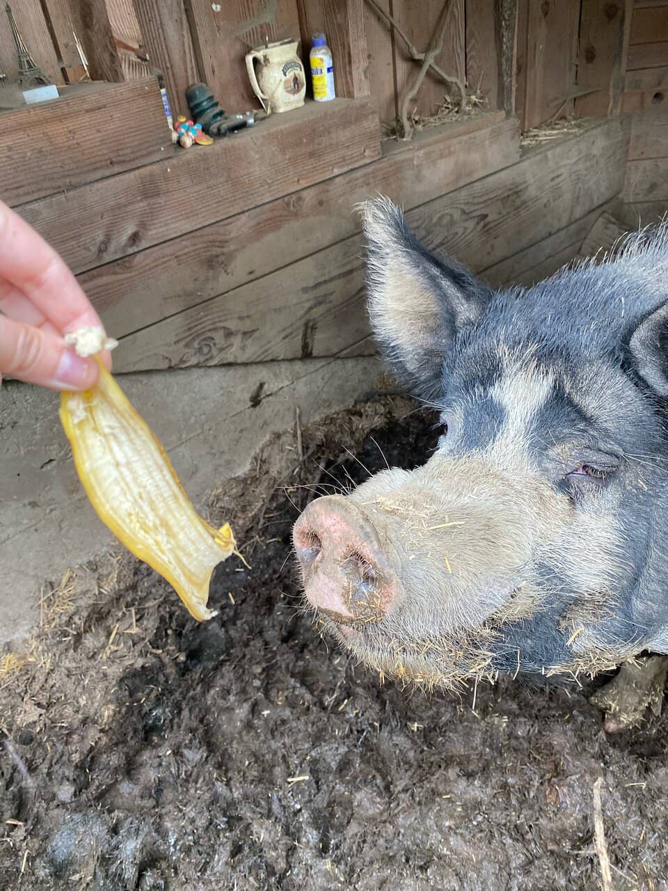 Knowledgeable Staff & Education