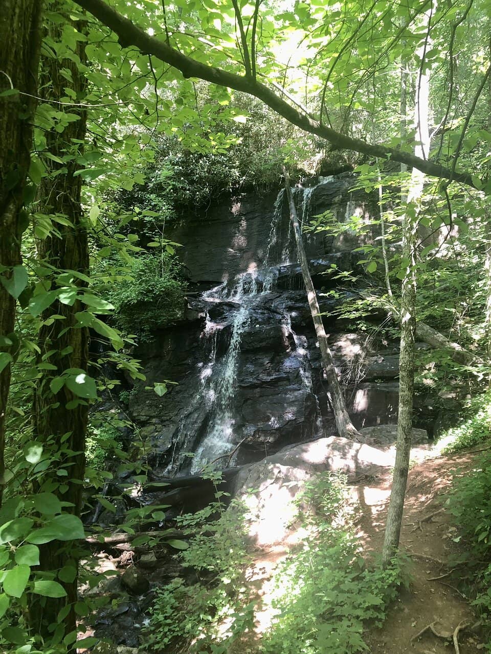 Picnic Area by Frogtown Creek