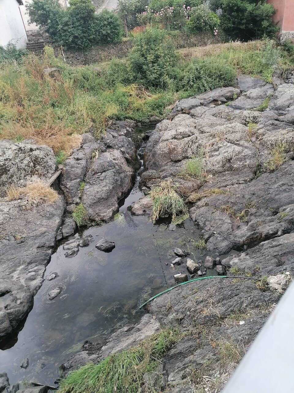 Virtual Reality Experience