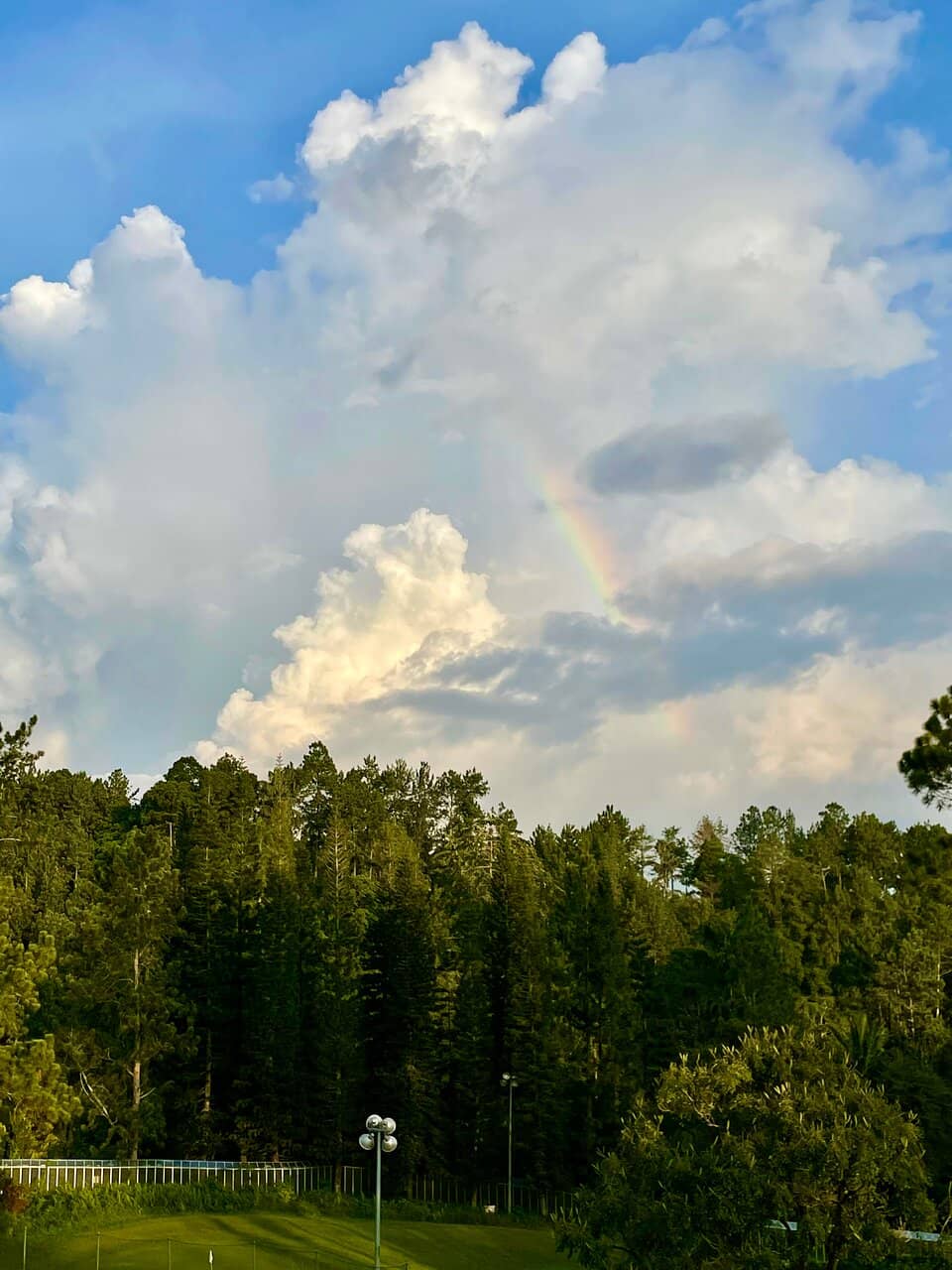 Scenic Cable Car Access