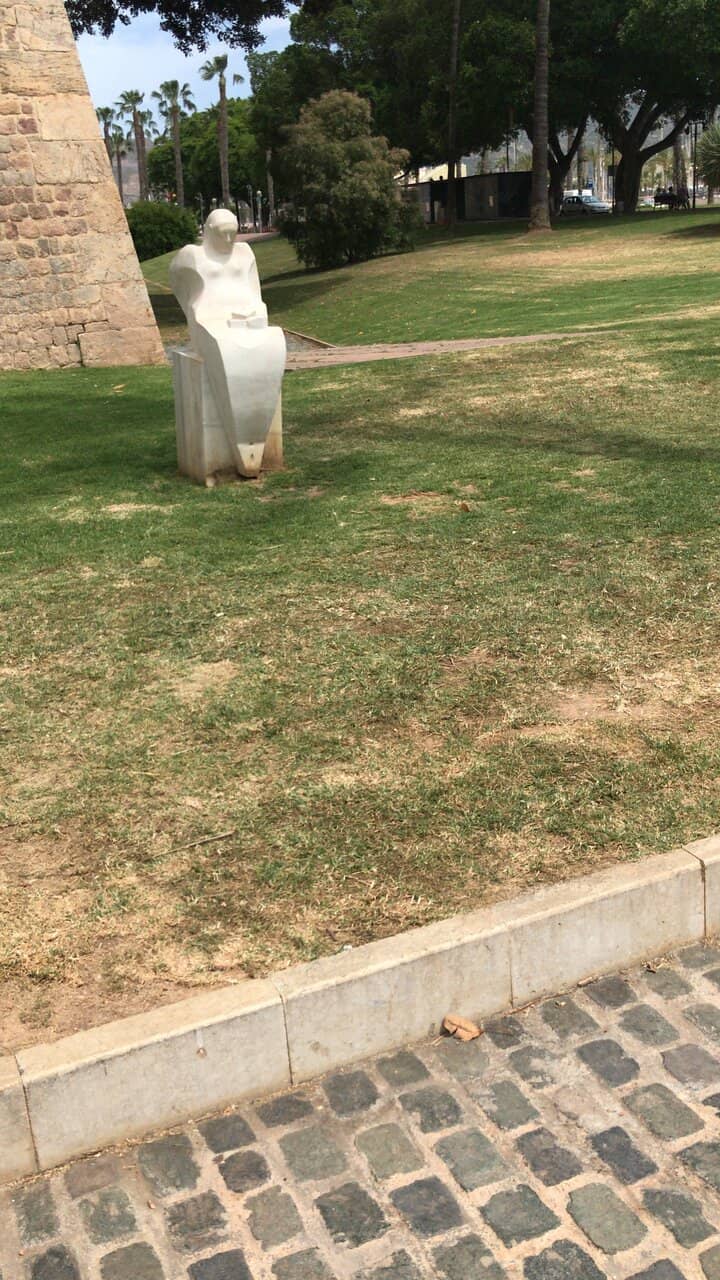 Live Music Performances