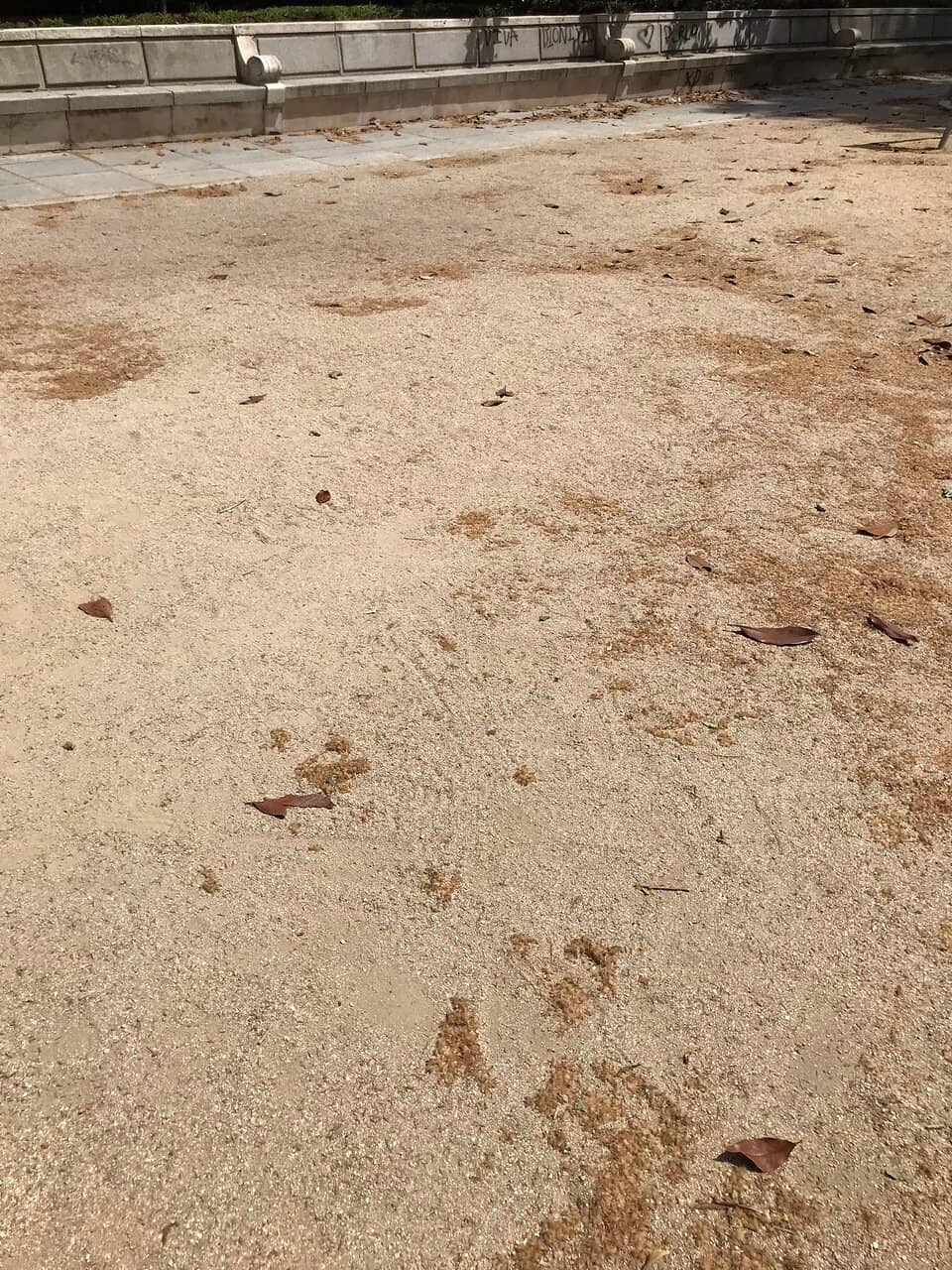 Expansive Playground