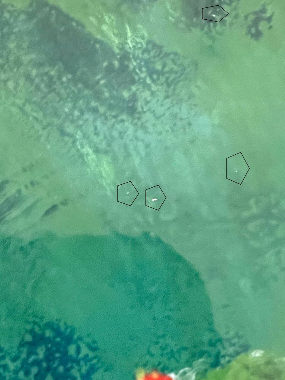 Relaxing Art Therapy