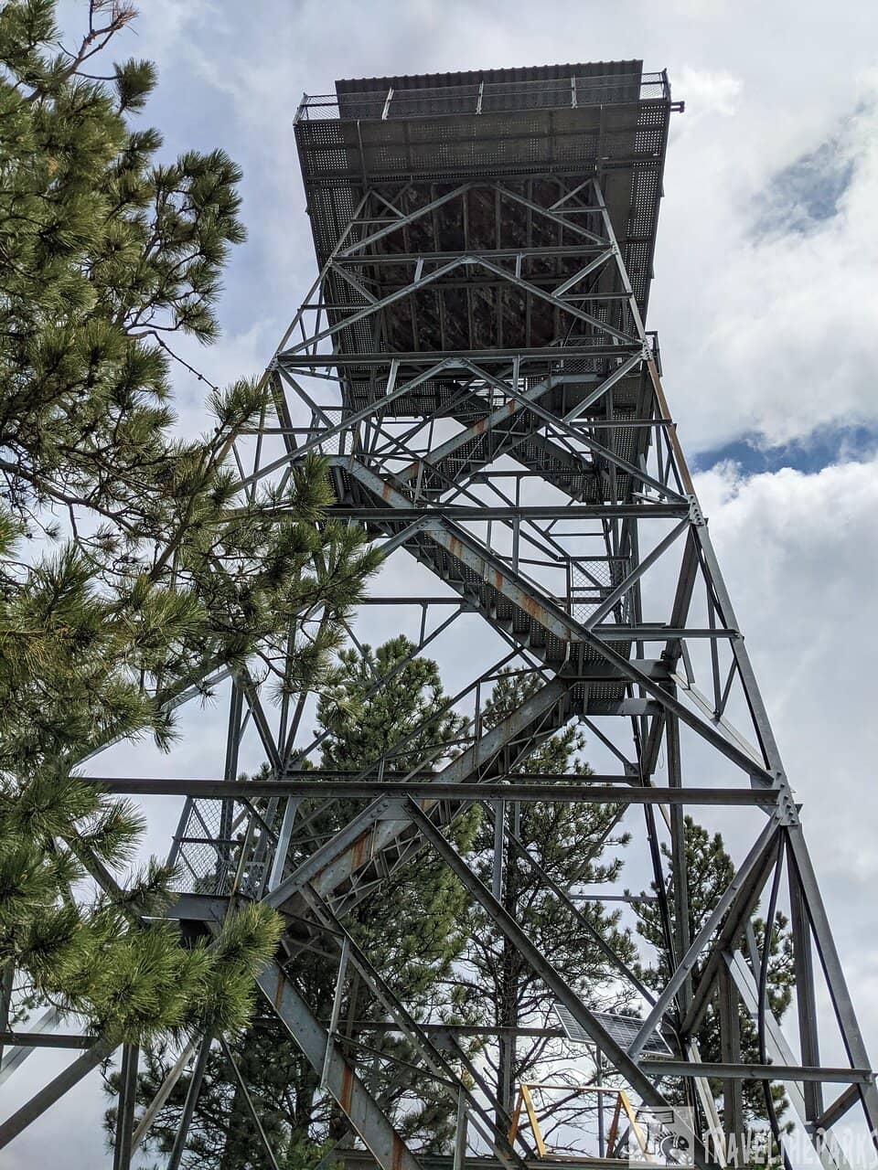 Ponderosa Pine Forest