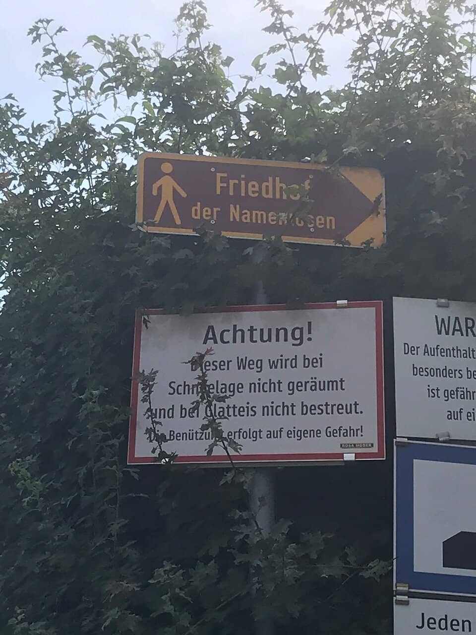 The Danube's Embrace