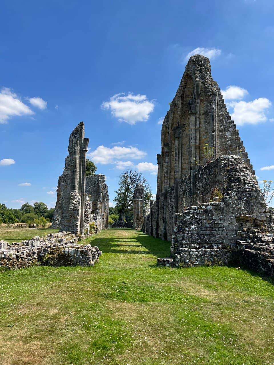 Eerie 'Dead Tree' Altar