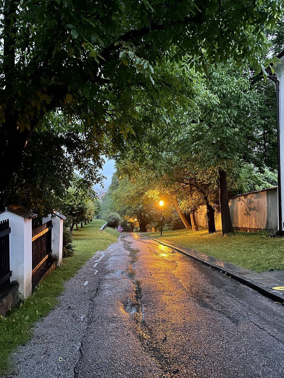 Immersive Outdoor Productions