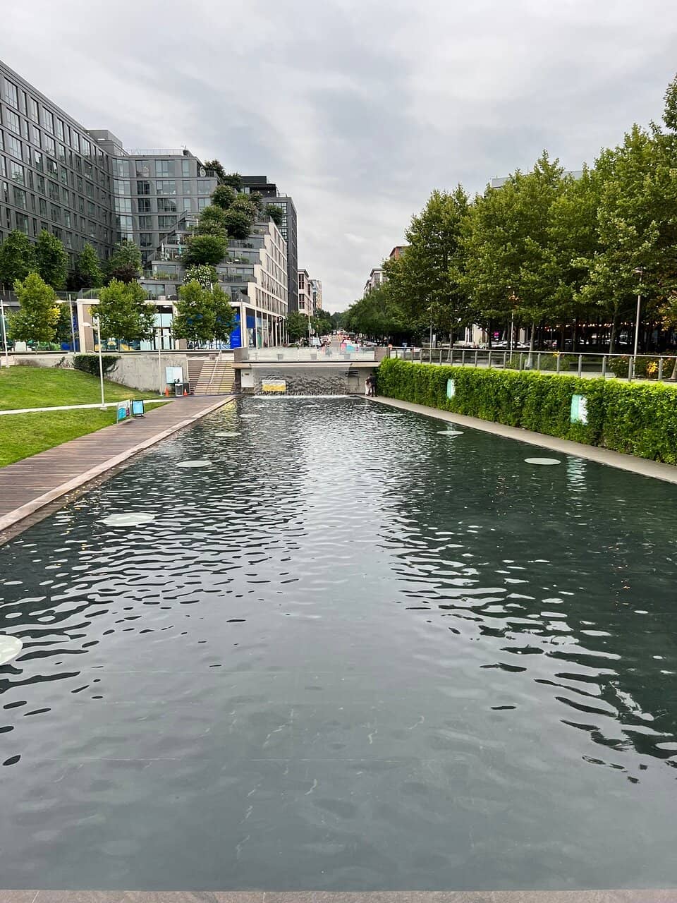 Impressive Vegan Options