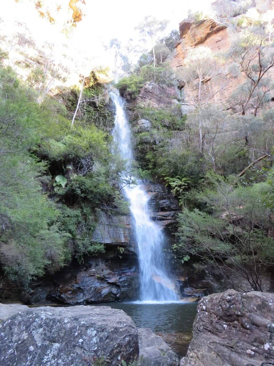 Blue Mountains Bushwalk