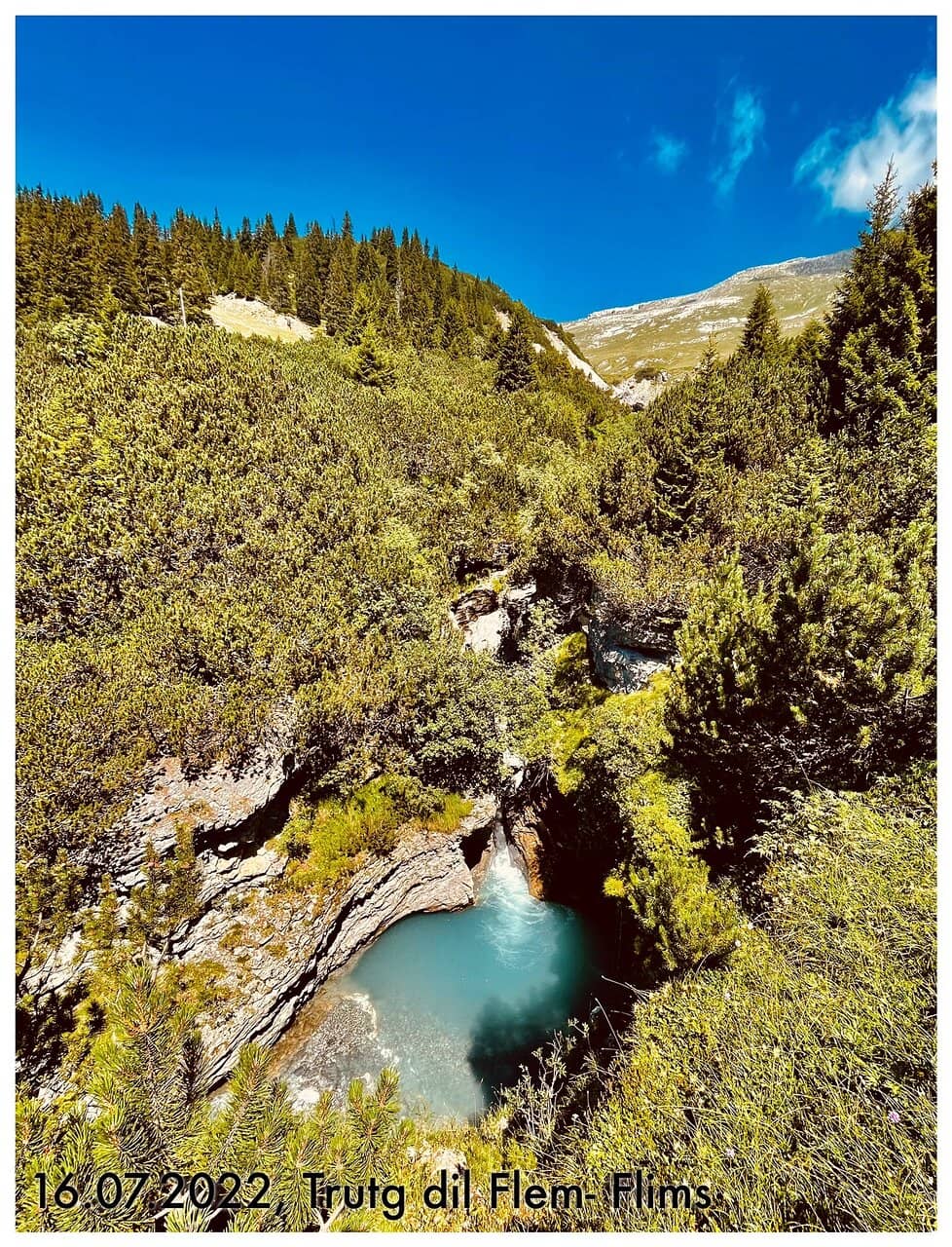 Alpine Pastures and Forests