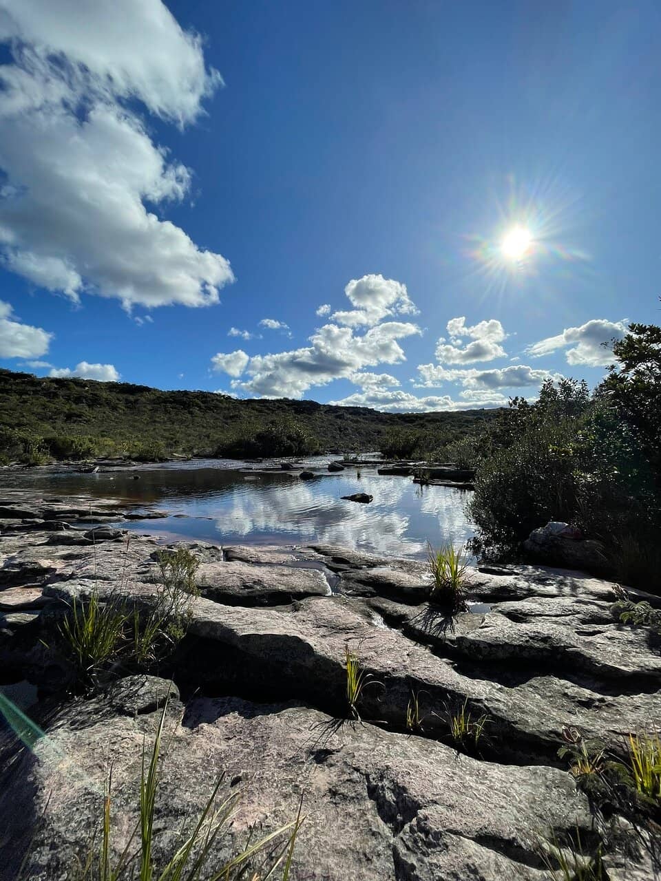 Environmental Preservation Project