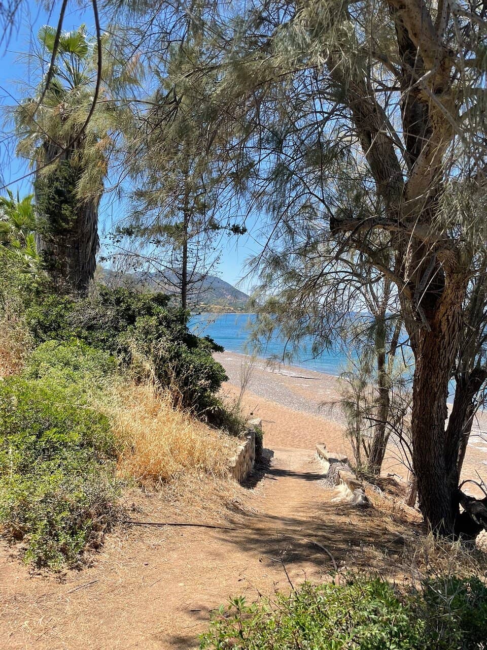 Affordable Sun Lounger Rentals