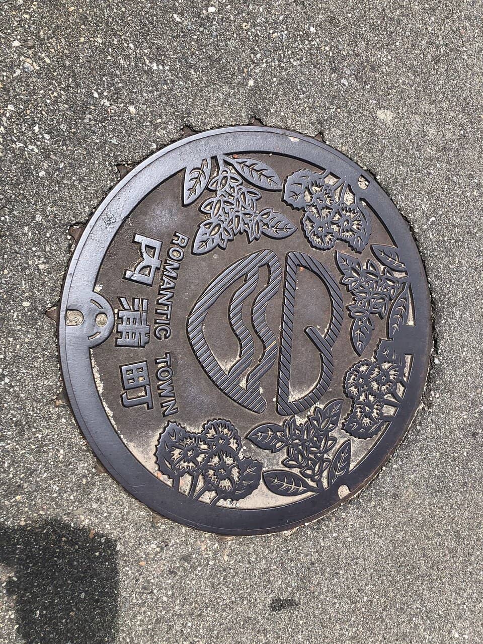 Forested Island Vista