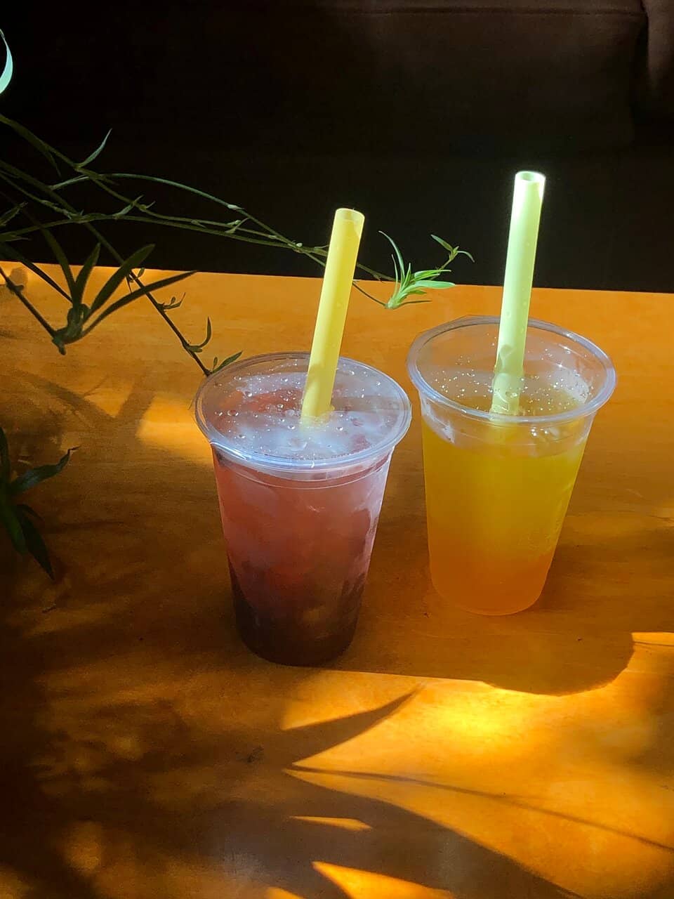 Acclaimed Avocado Toast