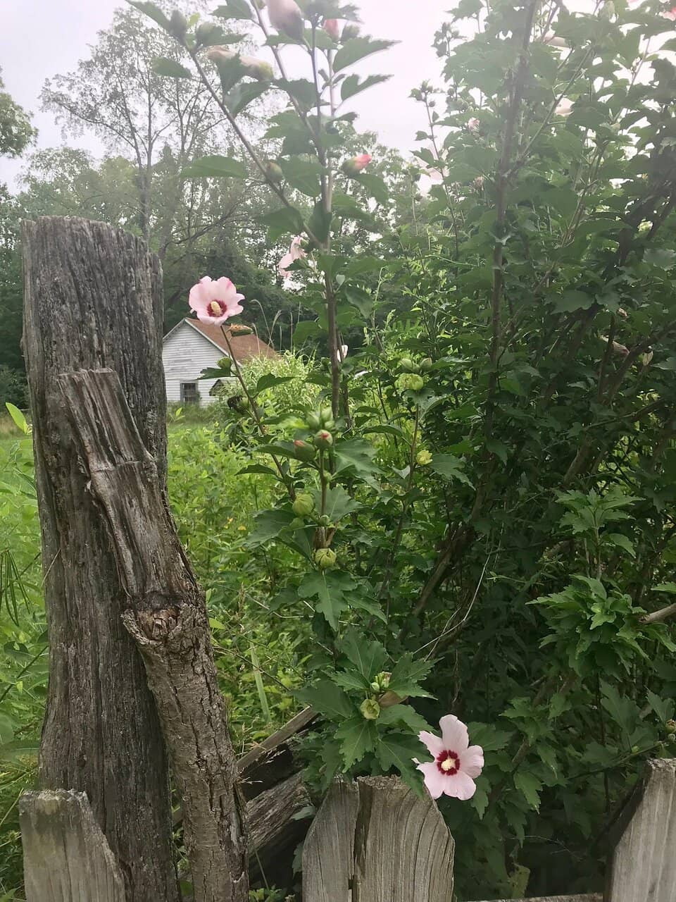 Nature & Visitors Center