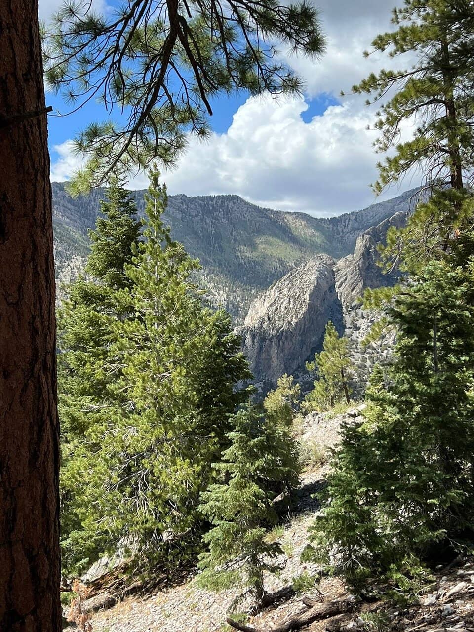 Exploration Peak Park