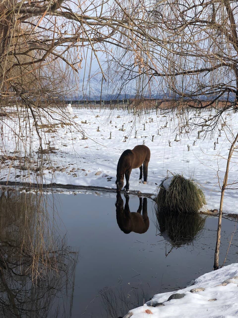 Terroir Único Wines