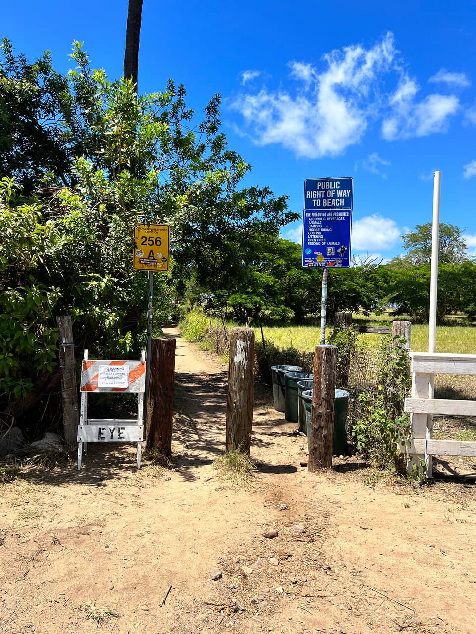 Snorkeling Opportunities