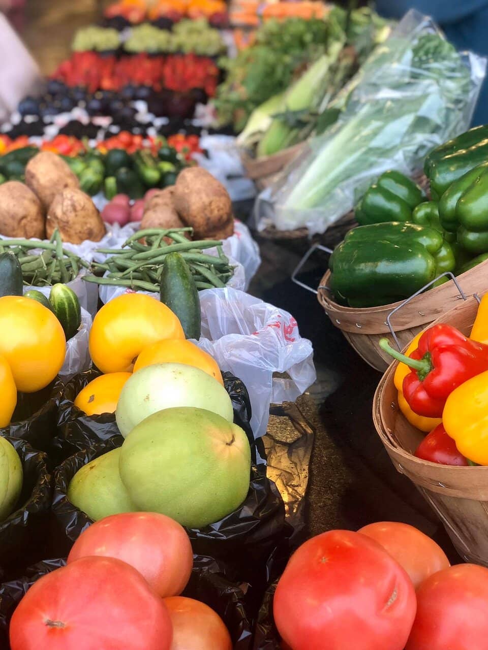 Gourmet Food & Drink Options