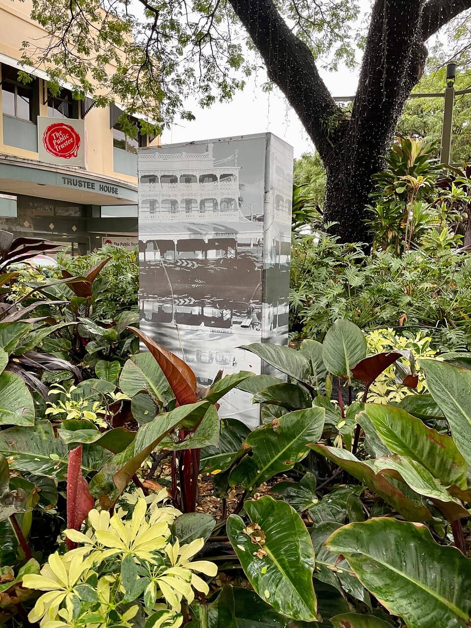 Nighttime Light Displays